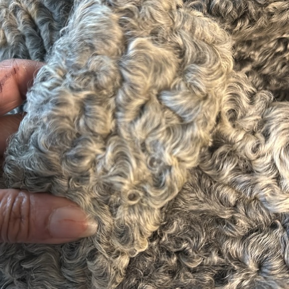 To big - Picture 4 of 6